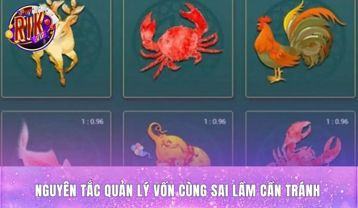 Mẹo đánh bầu cua Rikvip qua nguyên tắc vốn và sai lầm thường gặp